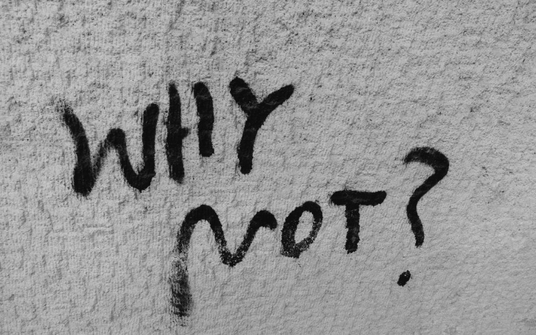 “Why Not” Are The Two Words You Need to Ask Yourself More