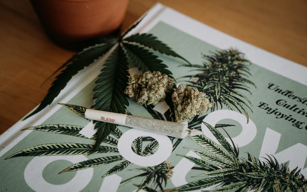 5 Pieces of Advice for Entrepreneurs Jumping into the Cannabis Industry